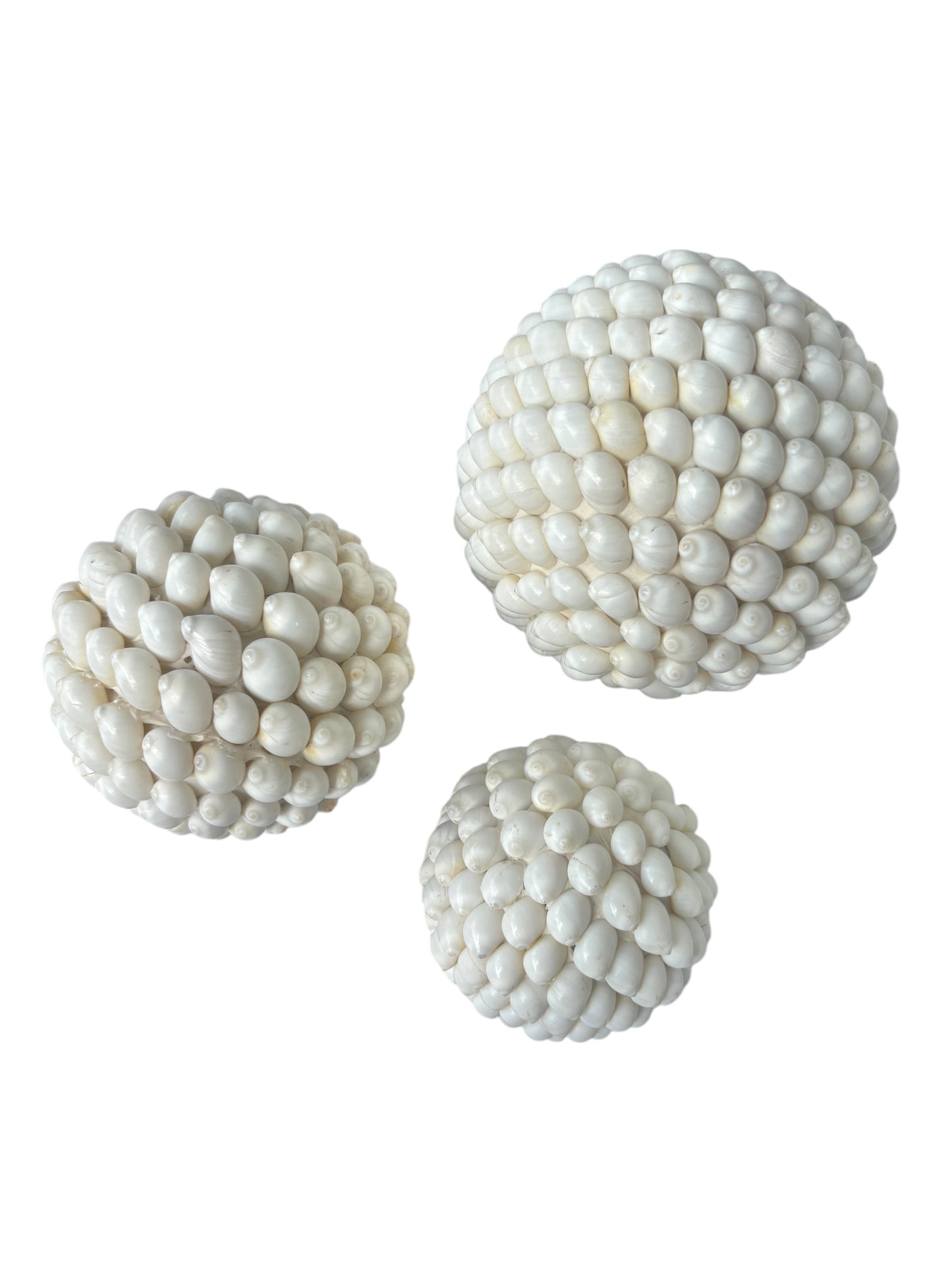 Buteng Shell Ball | 3 Sizes Available