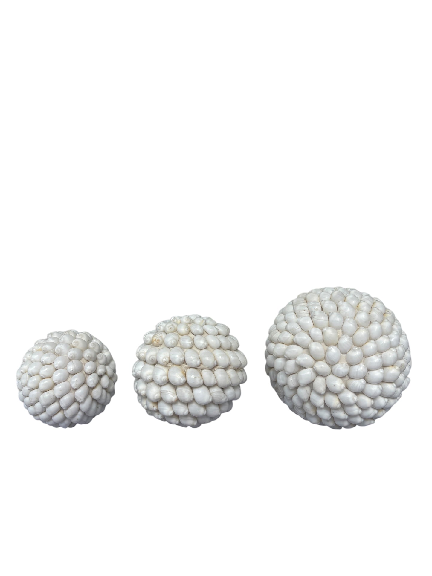 Buteng Shell Ball | 3 Sizes Available