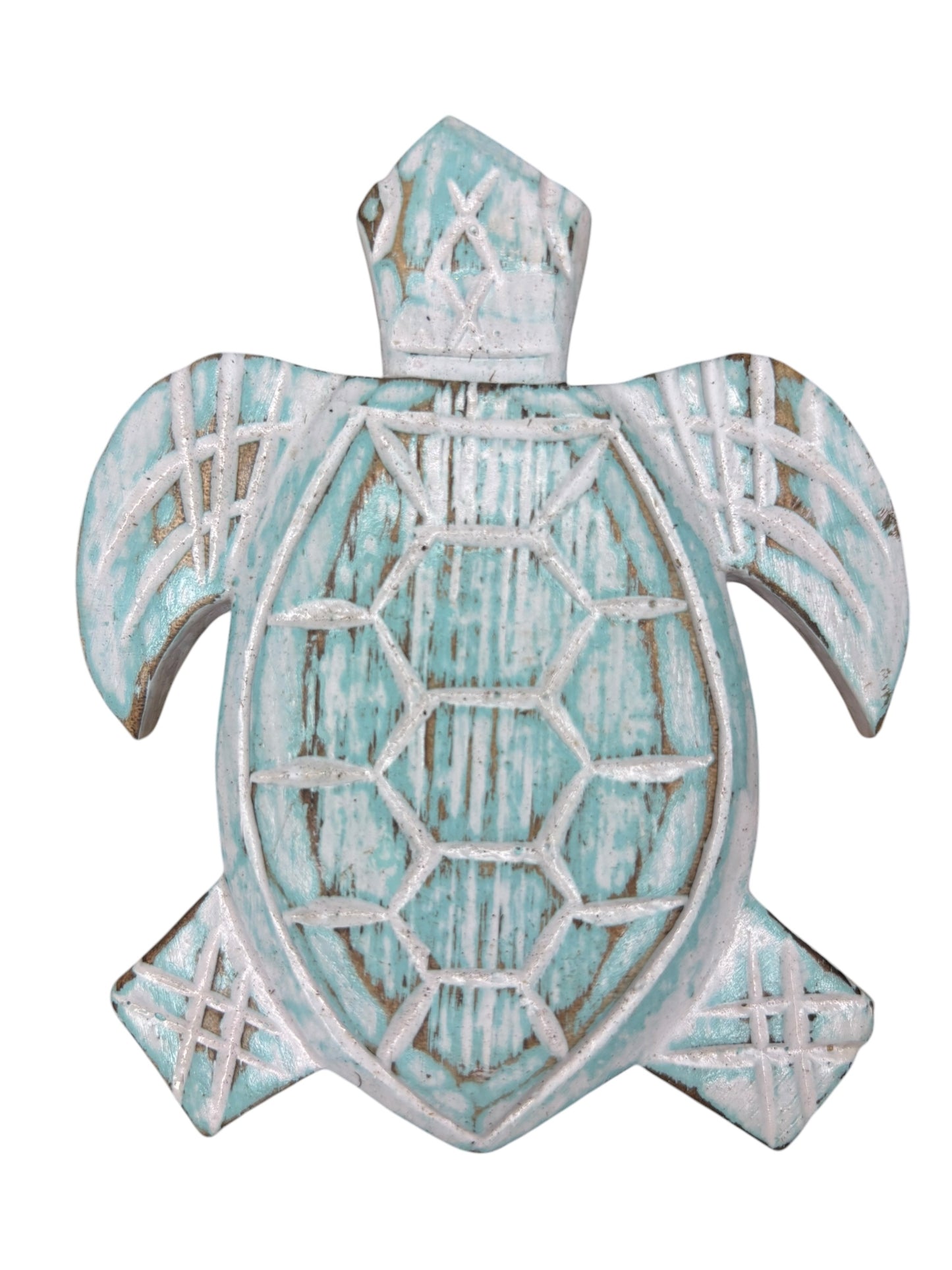 Baby Turtle | Assorted Colours