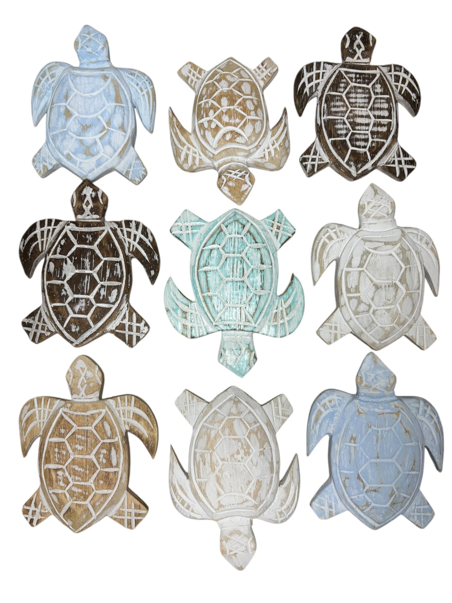 Baby Turtle | Assorted Colours