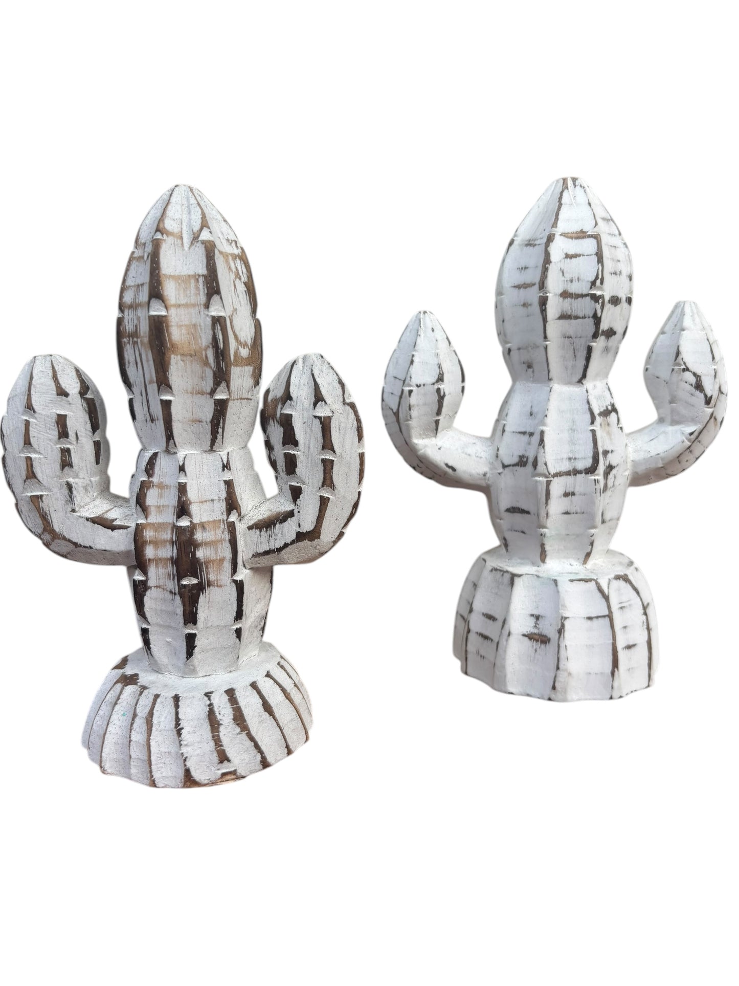 Cactus | Whitewashed | 2 Sizes Available