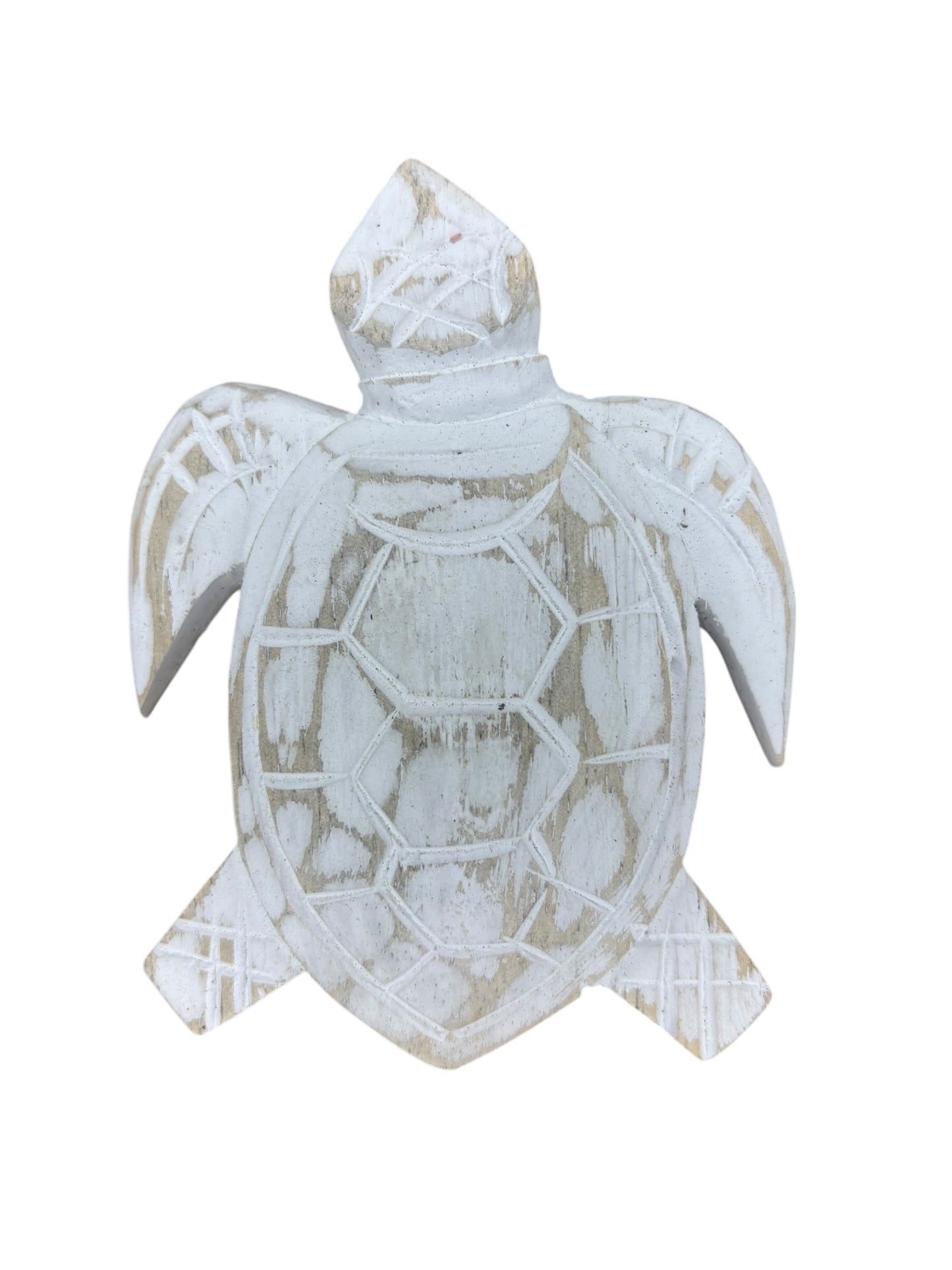 Baby Turtle | Assorted Colours