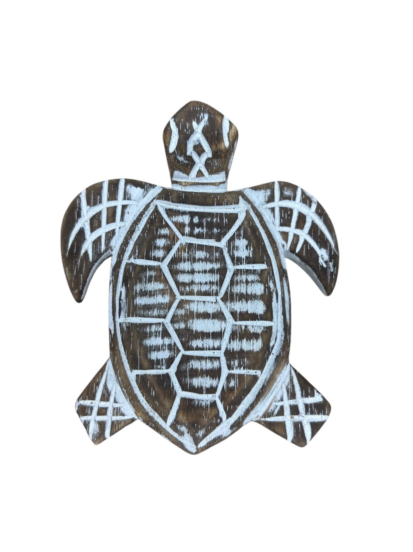 Baby Turtle | Assorted Colours