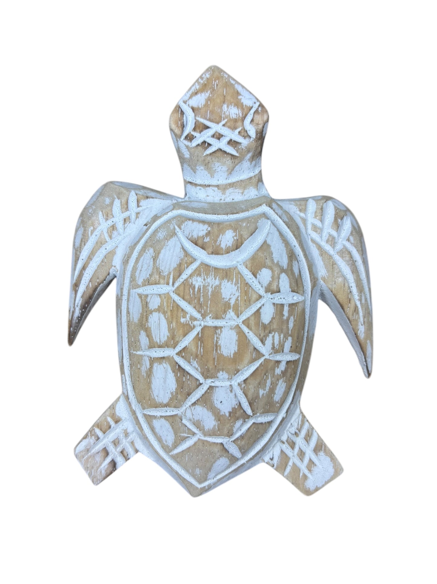 Baby Turtle | Assorted Colours