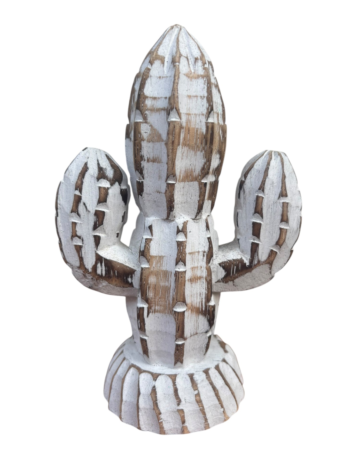 Cactus | Whitewashed | 2 Sizes Available