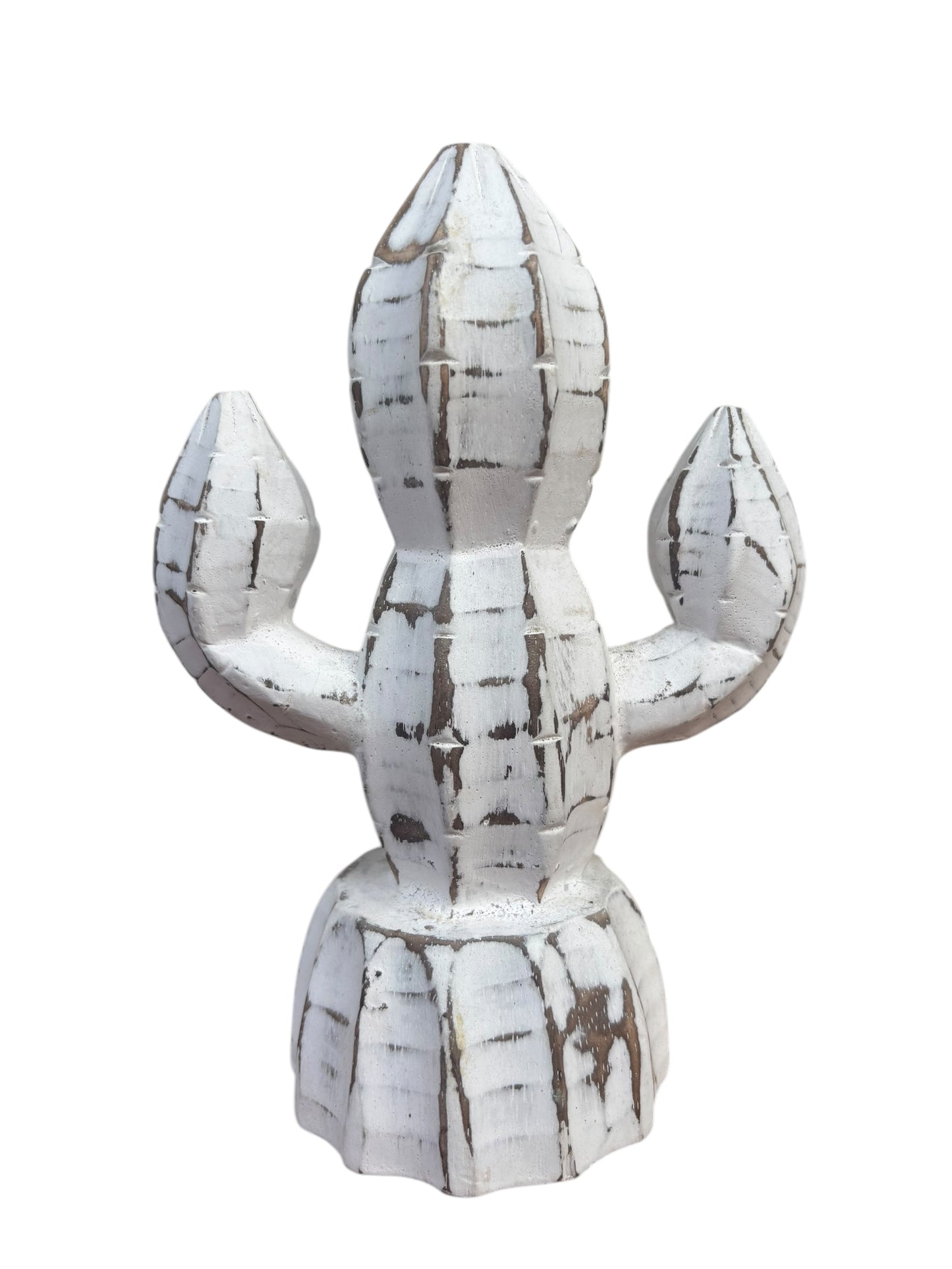 Cactus | Whitewashed | 2 Sizes Available