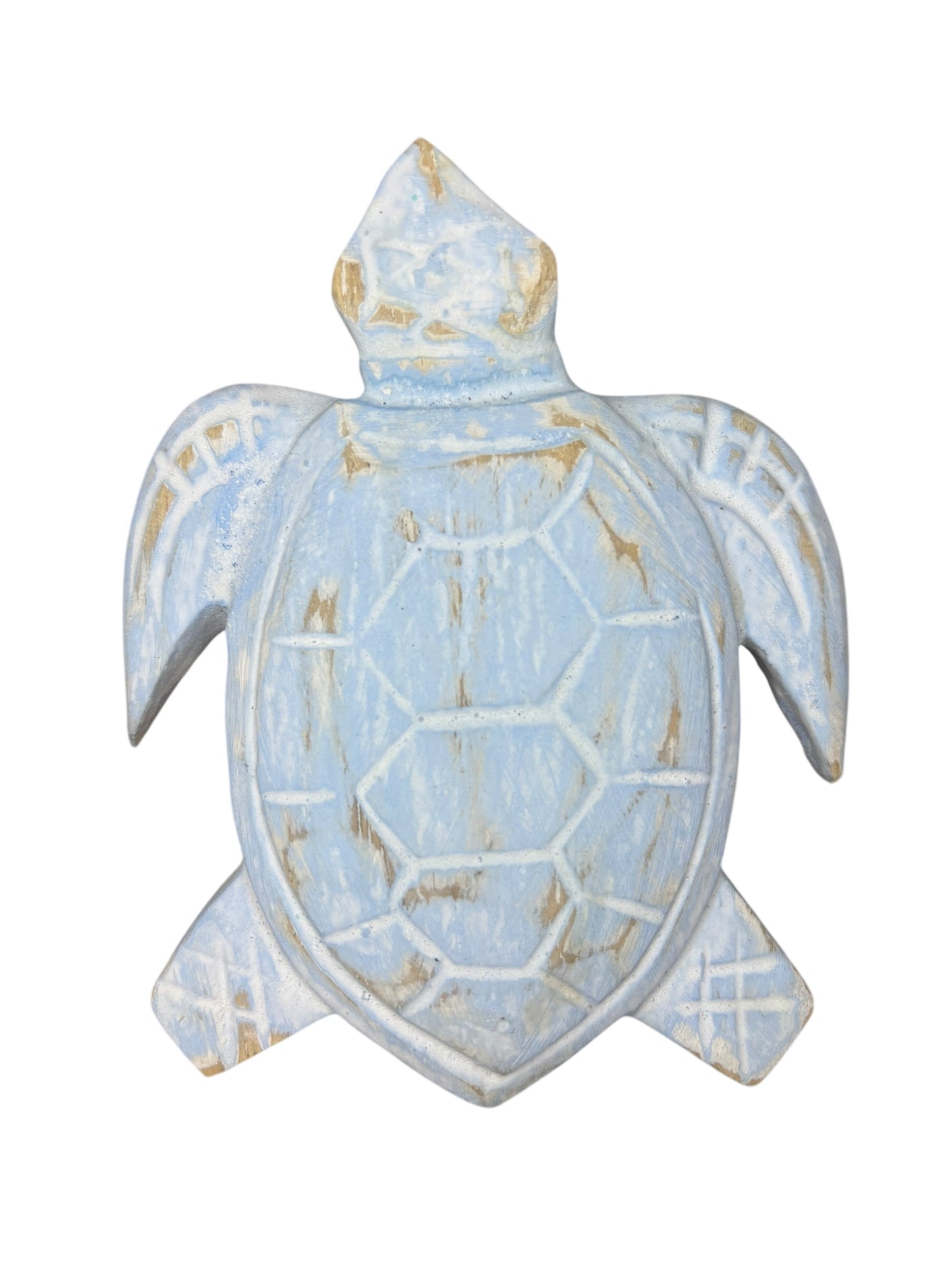 Baby Turtle | Assorted Colours
