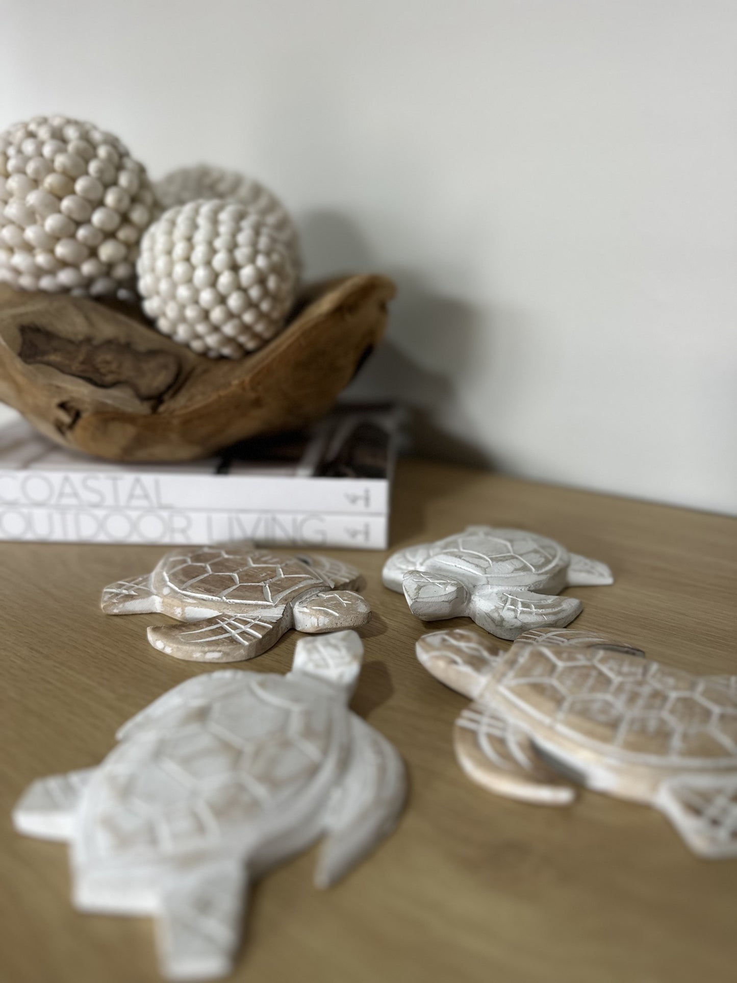 Baby Turtle | Assorted Colours