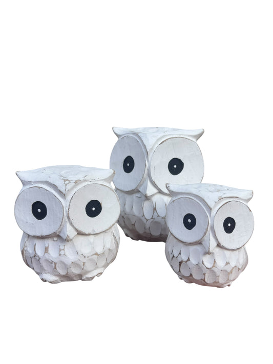 Owls | White | Set of 3