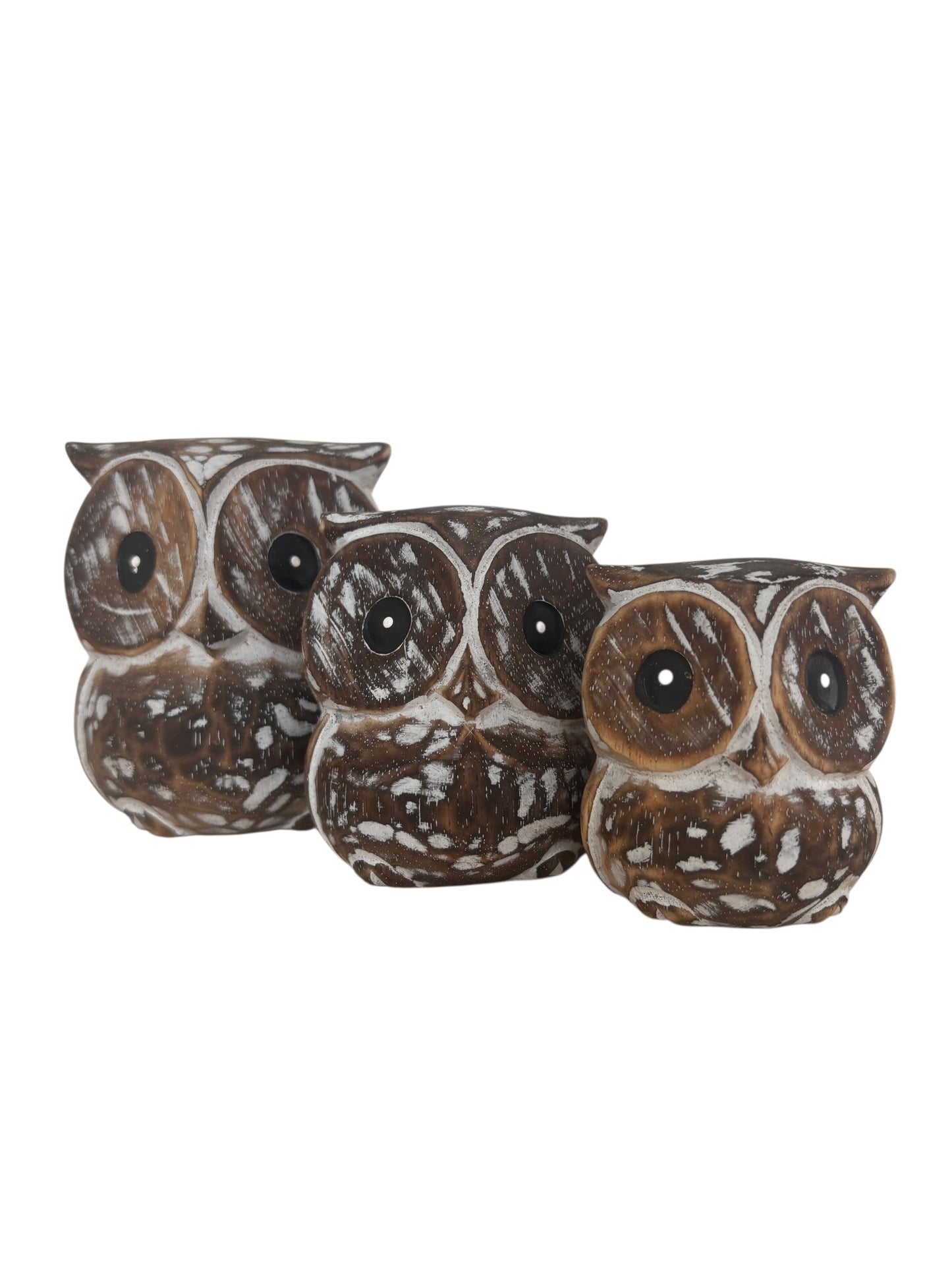 Owls | Brown | Set of 3