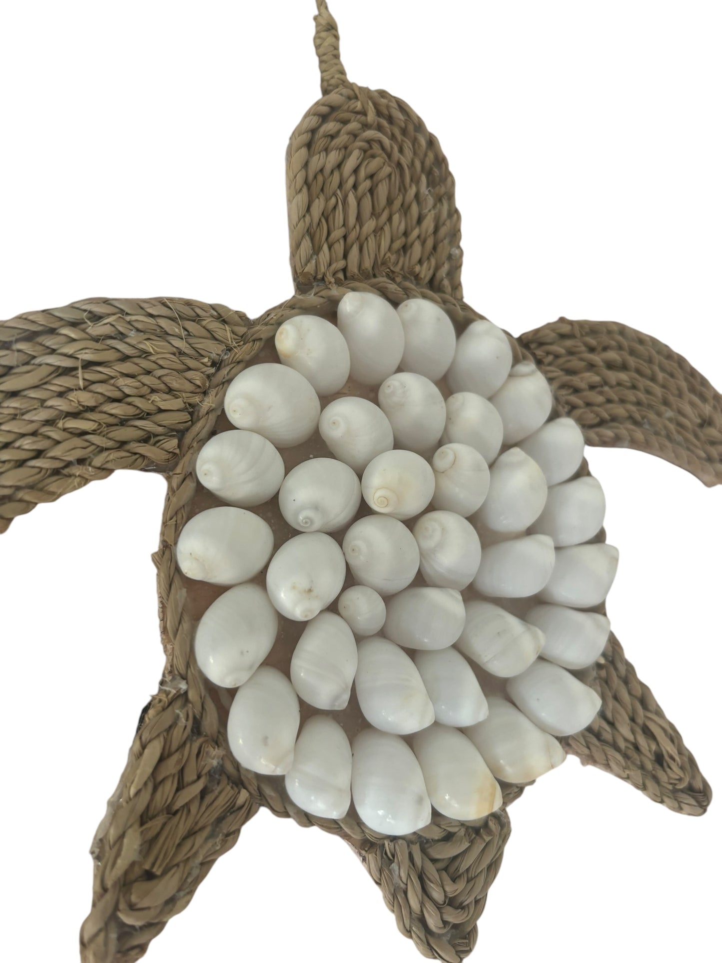 Shell Turtle | White
