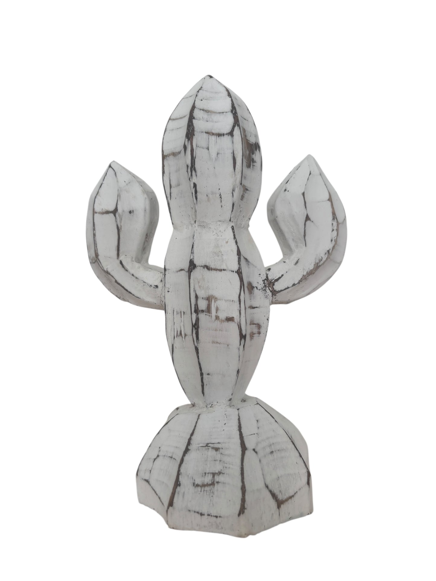 Cactus | Whitewashed | 2 Sizes Available