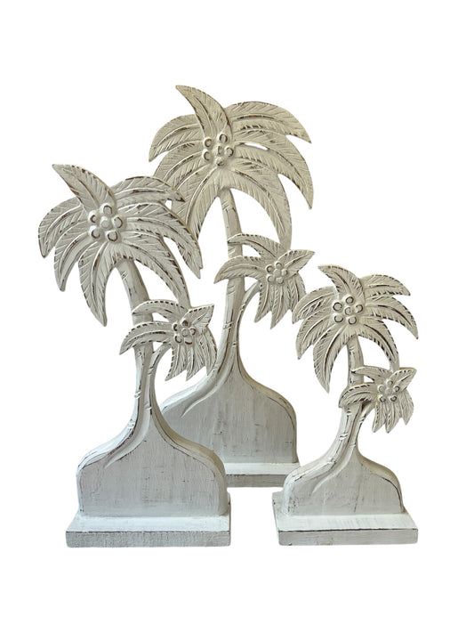 Coconut Palm | 3 Sizes Available