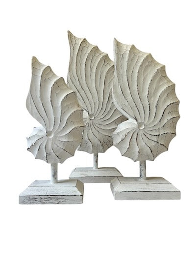 Nautilus Shell on stand | Whitewash | 3 Sizes Available