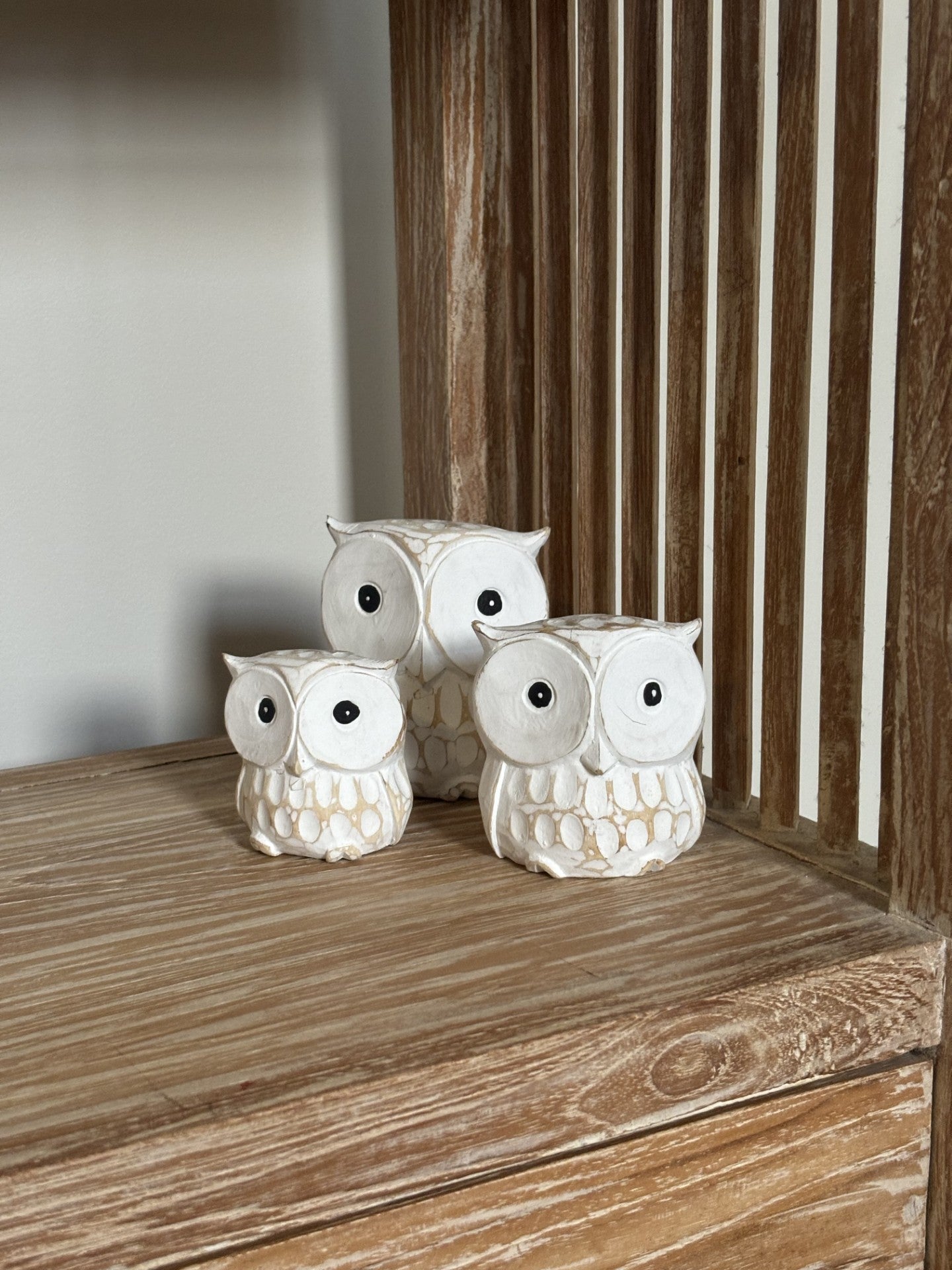 Owls | Natural | Set of 3