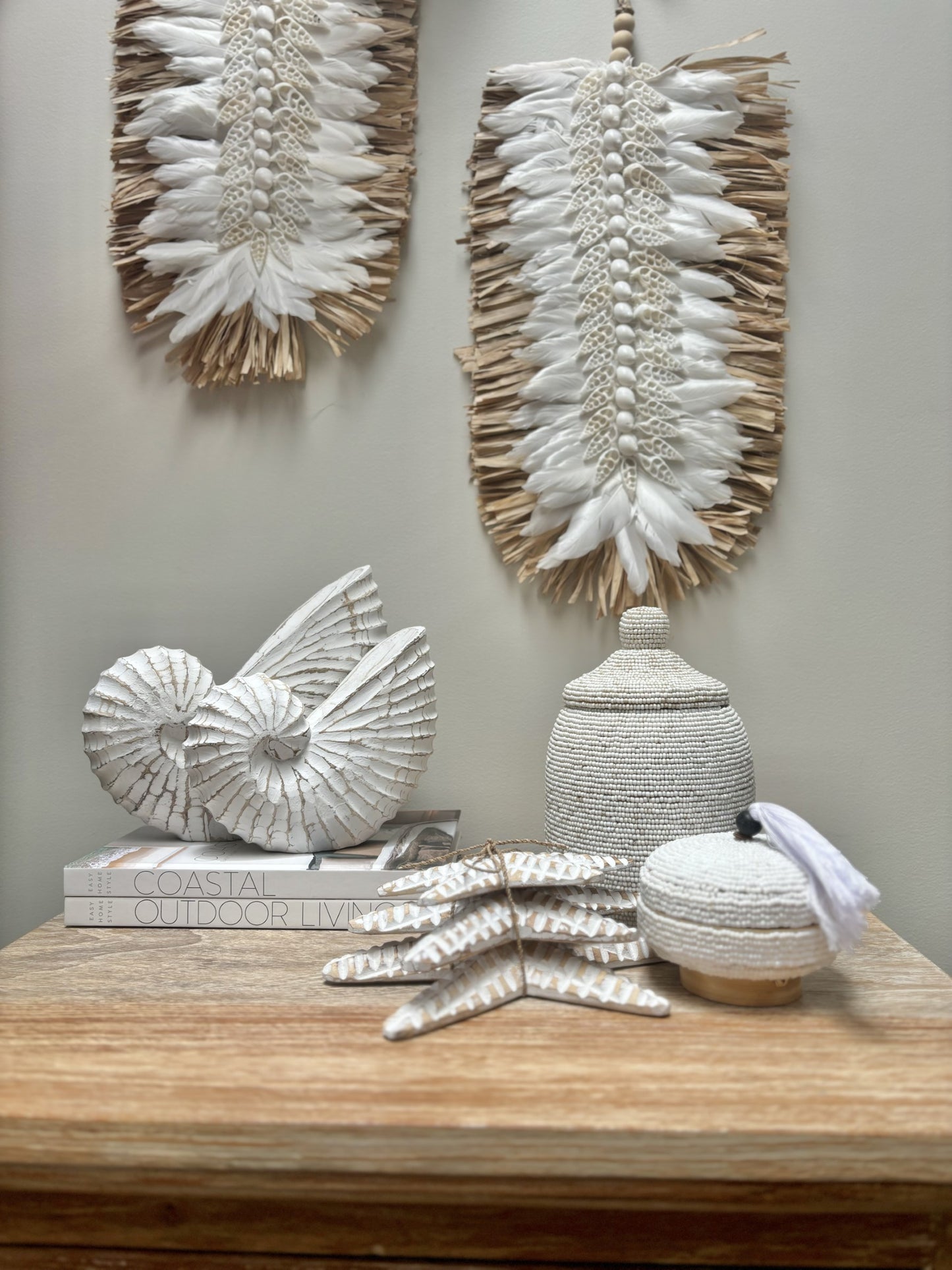 Nautilus Shell | Whitewash | 3 Sizes Available