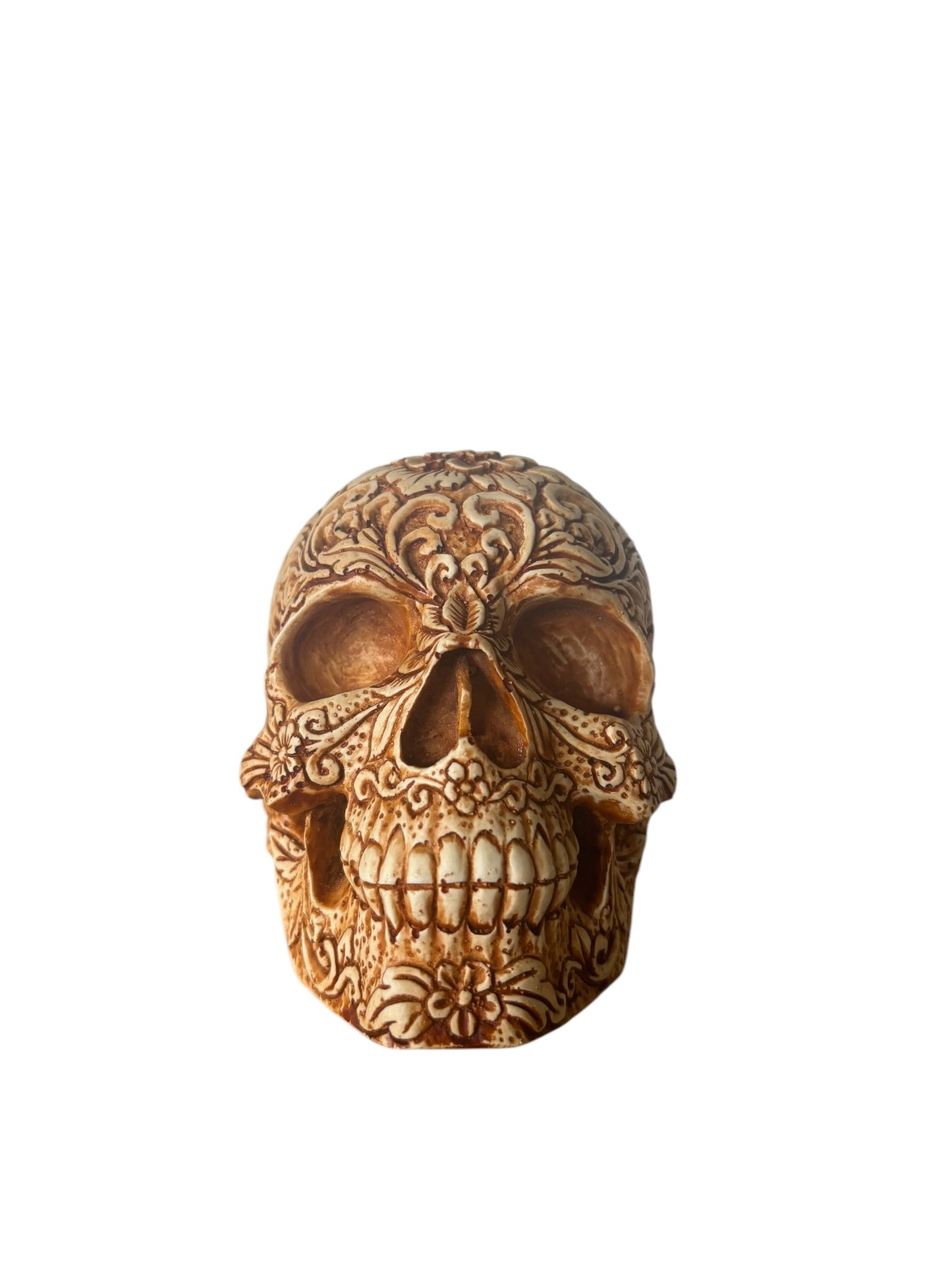 Skull | Brown